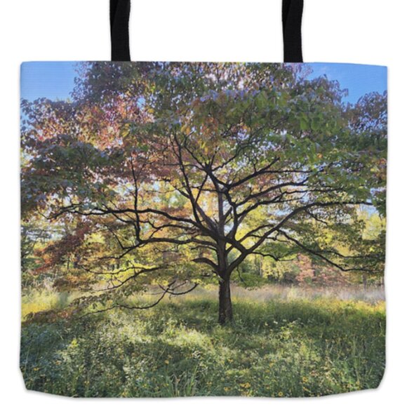 Tote Bag: Print of "Tree in Meadow 2" by Butterfly Rising Designs - Picture 1 of 4